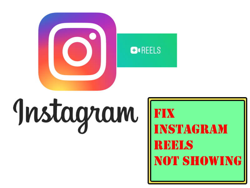 How to Fix Instagram Reels not showing or working in my account? 