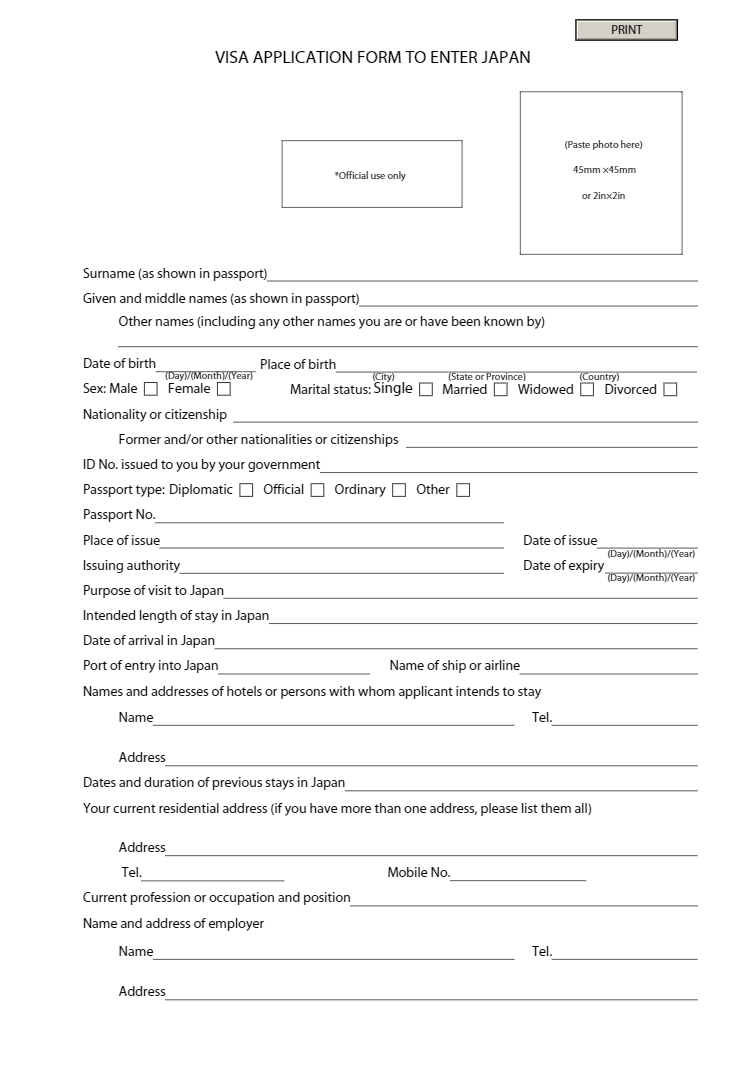Japan Visa Application Form
